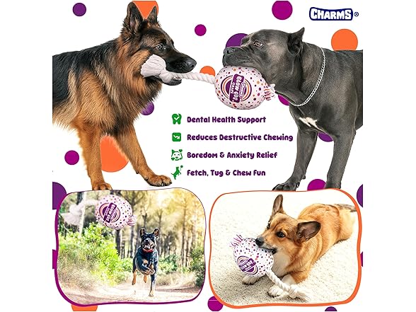 Blow Pop Plush & Rope Dog Toy