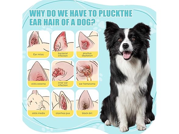 Advanced Pet Ear Powder with Professional 5" Hair Puller