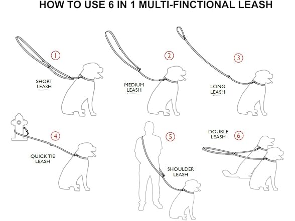Dogs My Love 6 Way European Multifunctional