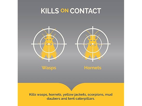 Hot Shot Wasp & Hornet Killer Spray
