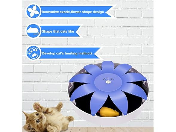 FluffyDream Automatic Electric Magnetic