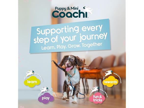 Company of Animals Coachi Puppy & Mini Treat Pouch