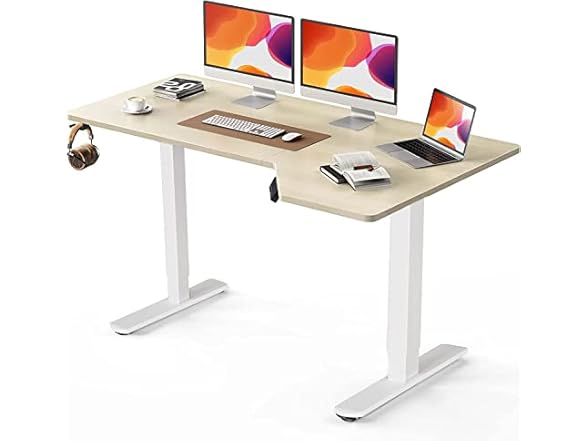 TotnzElectric Standing Desk 55 x 34 inch