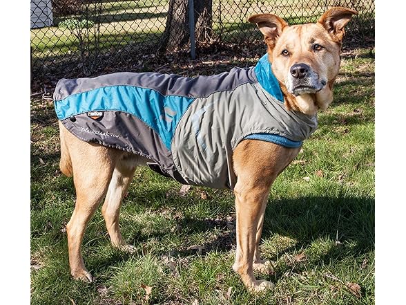 Pet Life ® 'Rusher Dog Sweater and Coat