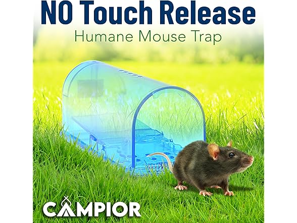 Humane Mouse Trap Blue