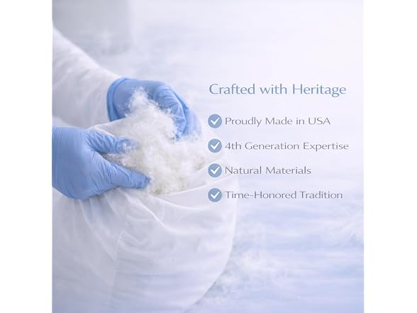 White Down Pillow and Cotton Protector