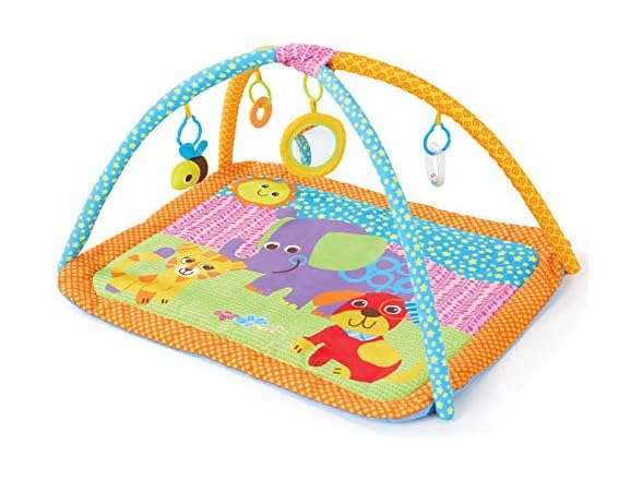 Bruin My 1st Playgym
