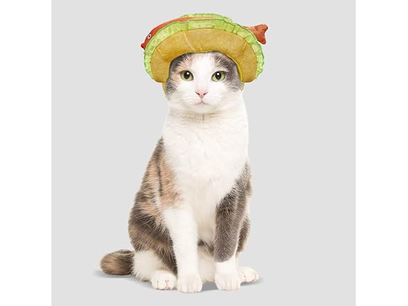 Fish Taco Headpiece Dog and Cat Accessory Ho