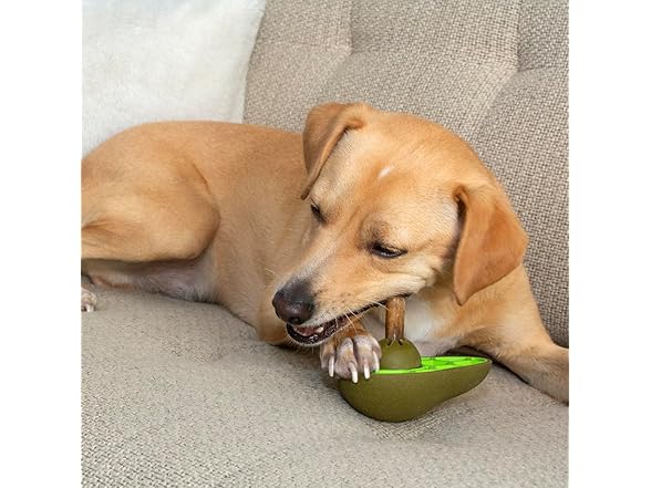Friends Forever Bully Stick Holder for Dogs