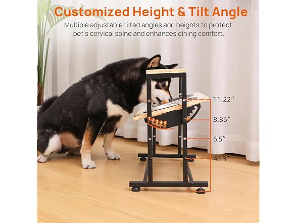 Adjustable Height Pet Feeder Stand with 2 Stainless Steel Bowls