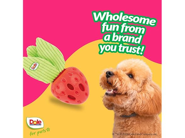 Dole for Pets Dog Puzzle Toy with Crinkle Squeak Insert