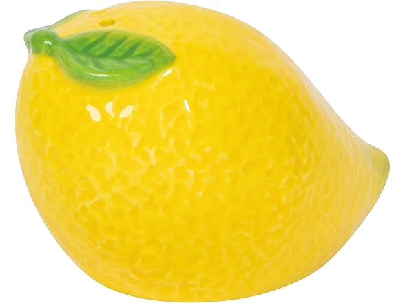 Jubilee Citrus Burst Stoneware Salt and Pepper Shakers 2.75 x 2in