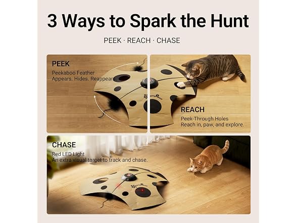 DownyPaws Interactive Cat Toy, 3 Modes