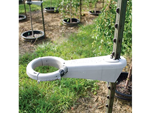 Tree Sprout Support - Tree Mate O Support