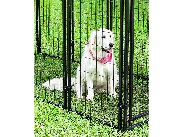 Olympia Tools 6x4x4 Dog Kennel - Small O