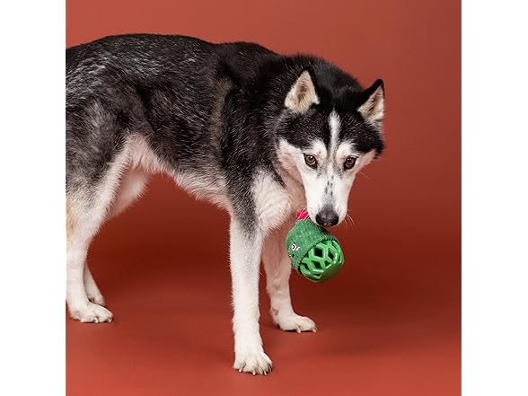 Fringe Studio Rubber Dog Toy, Prickly