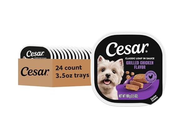 24CT Cesar Classic Loaf in Sauce Adult Wet Dog Food