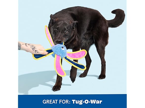 Barkbox Twirdle Dog Toy