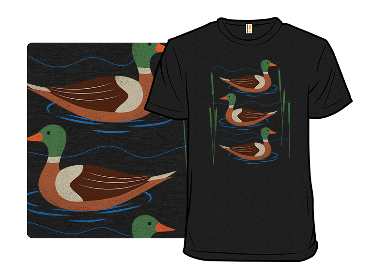 Ducks in the lake - Gallery 8