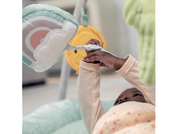 Ingenuity Calm Springs Plush Activity Gym