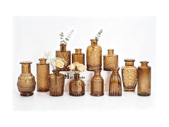 Sawoake Mini Bud Vases Set of 12 As