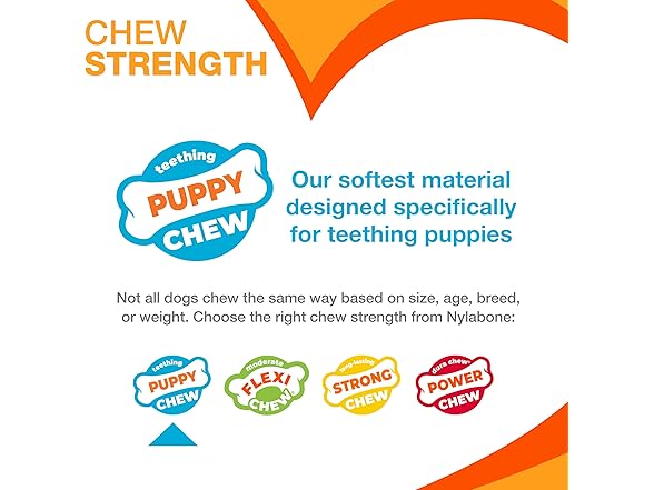 Nylabone Double Action Bone Puppy Chew
