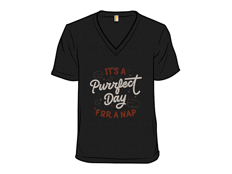 Its a Purrfect Day For a Nap