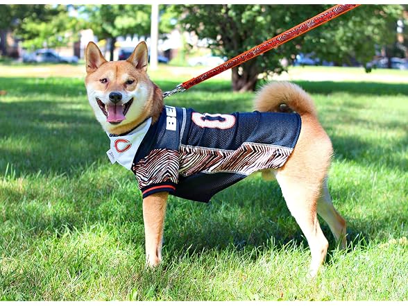 Zubaz NFL Team Pet Leash for Dogs & Cats, Ba