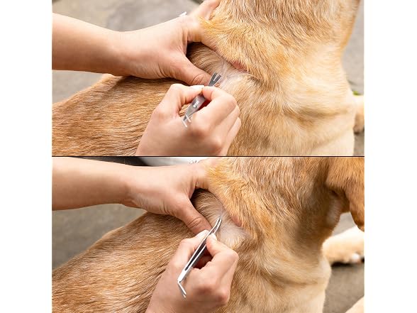 Tweezerman Pet Dog & Cat Tick Remover Tweezer Kit
