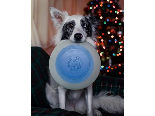 Planet Dog Orbee-Tuff Zoom Flyer Disc Glow-in-The-Dark