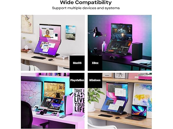 Mobile Pixels Geminos 24" Monitor