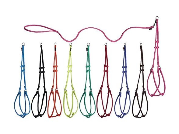 Dogline Soft and Padded Comfort Microfiber R