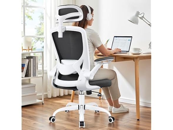Bestfair W0893 Ergonomic Office Chair (Open Box)