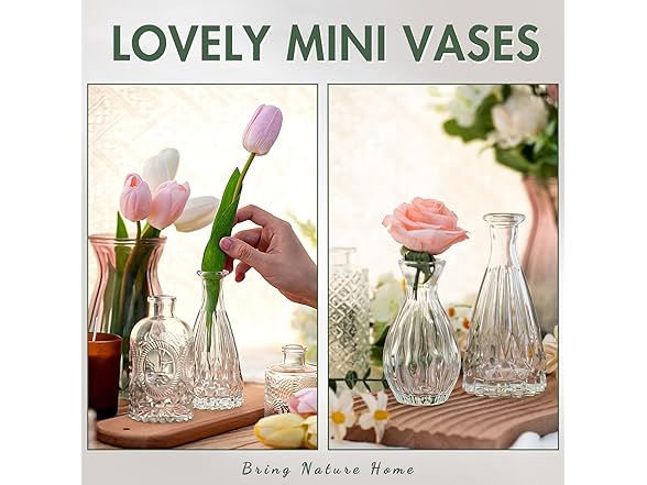 Arme 20Pcs Clear Flower Bud Vases