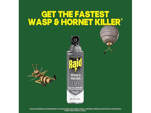 Raid GAR-03 Raid Wasp & Hornet Killer 14 Oz, 2 Ct