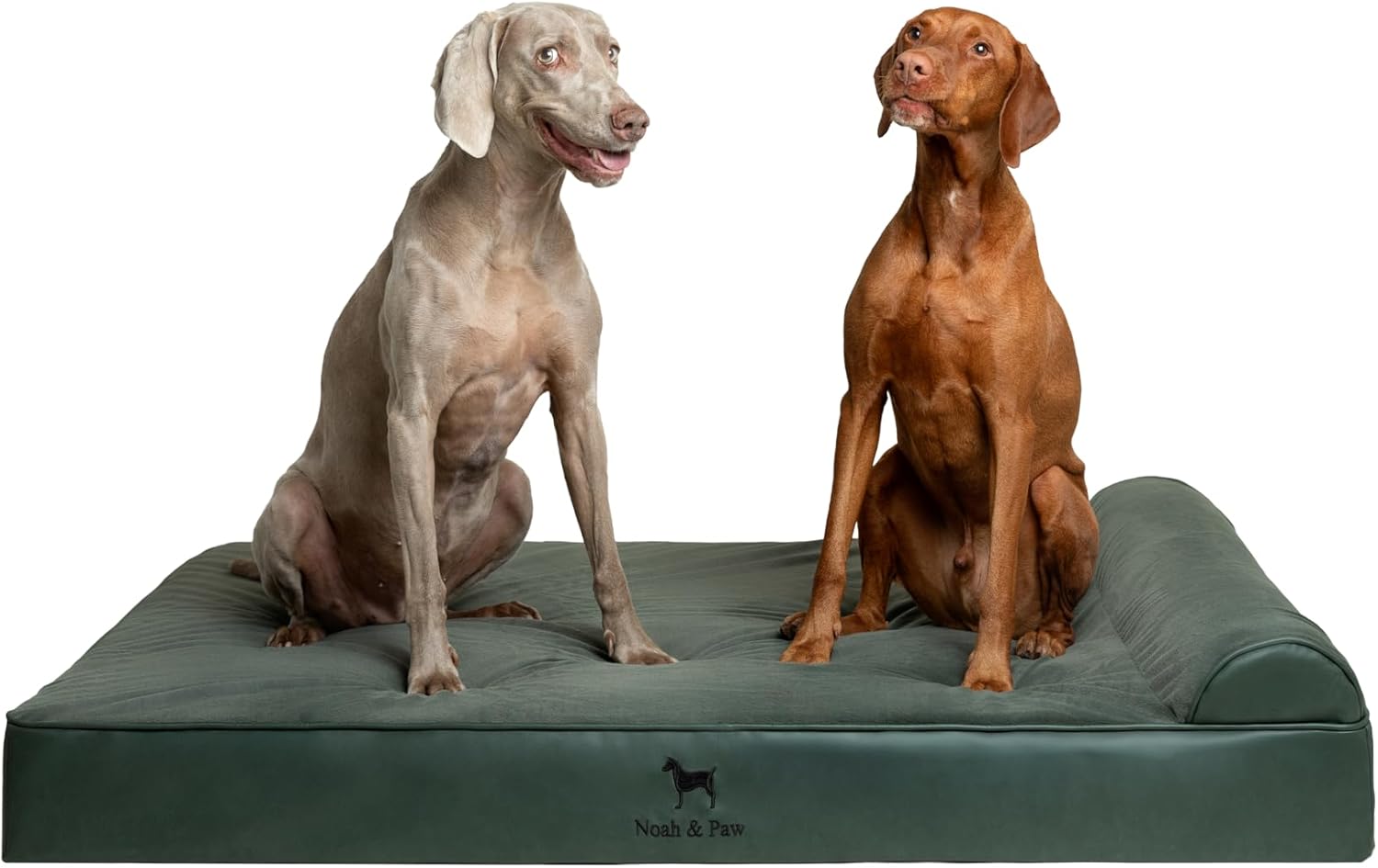 NOAH & PAW Orthopedic Dog Beds- XXLarge - Gallery 12