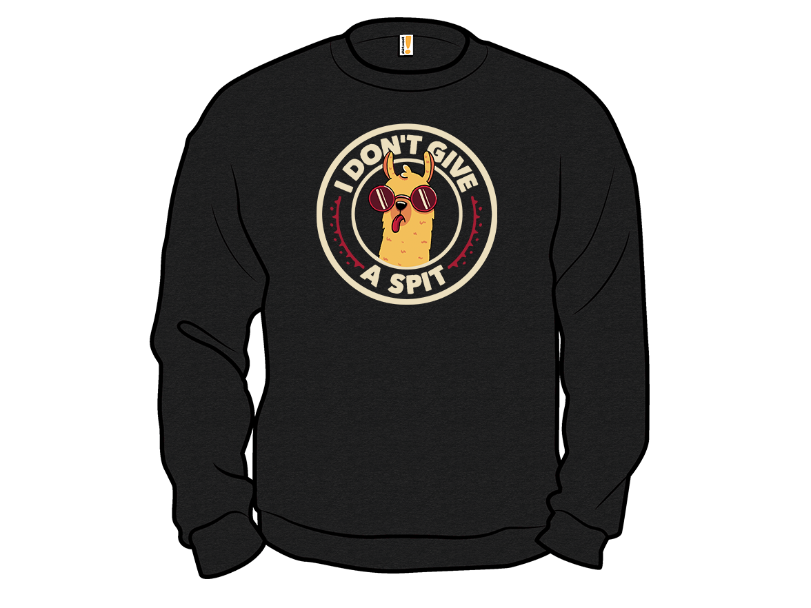 I Don't Give a Spit - Remix - Gallery 11