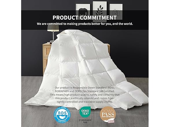 Feather Down Comforter