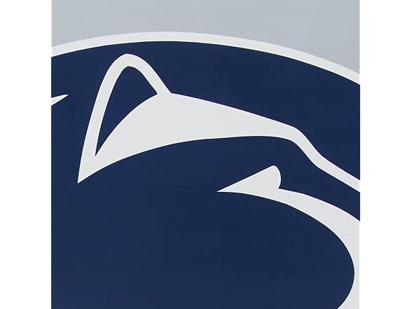 Iowa Hawks Flag 40x28 Vert