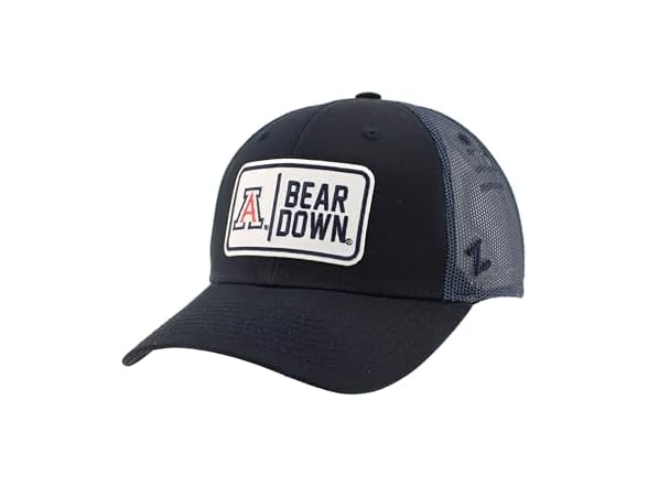 WILDCATS Snapback Big Rig Patch Team