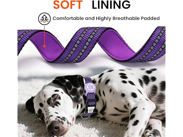 ILFINDYOU Dog Collar with Airtag Holder