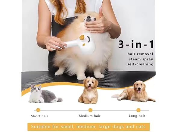 Cat Brush for Shedding