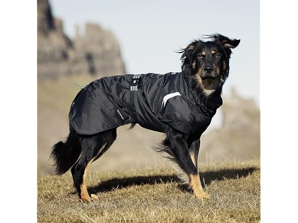 Hurtta Summit Parka Dog Winter Coat, Orange, 8 in