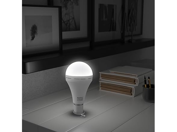 Rechargeable Emergency Light Bulb, 4 Pack