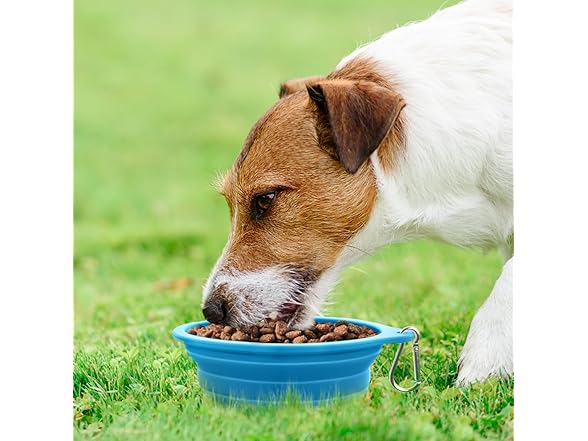 Rest-Eazzzy 2-Pk Silicone Collapsible Dog Bowls Grey, Blue