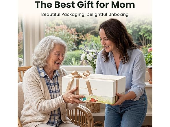 Birdfy BF1 feeder gift set