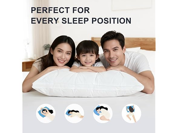 WQSPRING Cloud Color 2 Pack Suport Pillows Queen Size