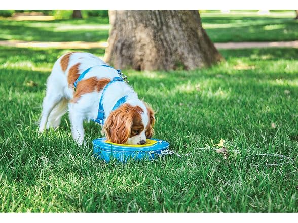 Petmate Aspen Pet Stay-a-Round Bowl (00784)