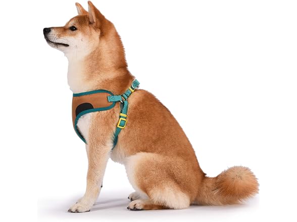 Scooby-Doo! No Pull Dog Harness, Adjustable,