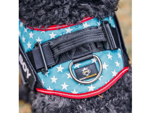 DOGGYKINGDOM No Choke Dog Harness with Handl